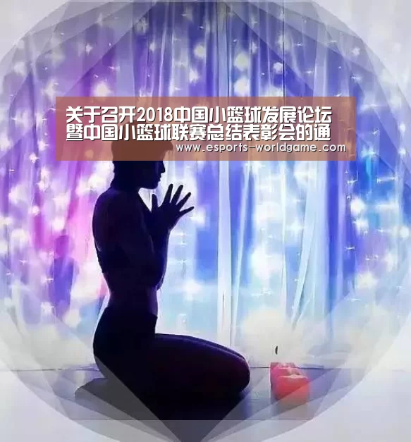 关于召开2018中国小篮球发展论坛暨中国小篮球联赛总结表彰会的通知“爱游戏官网”