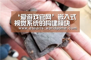 ‘爱游戏官网’嵌入式视觉系统的构建模块