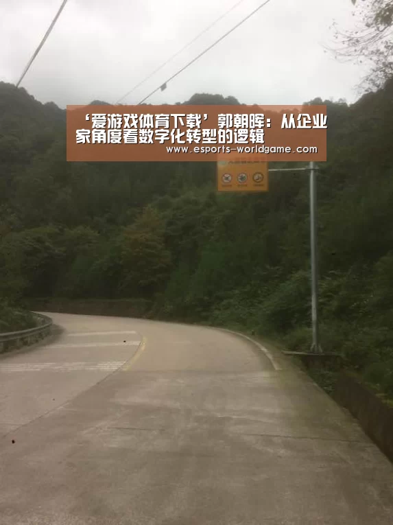 ‘爱游戏体育下载’郭朝晖:从企业家角度看数字化转型的逻辑