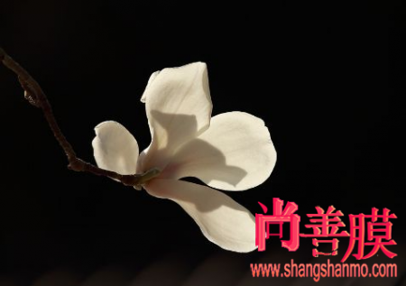 爱游戏官方